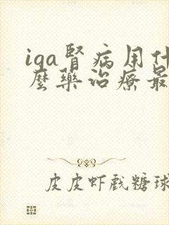 iga肾病用什么药治疗最好