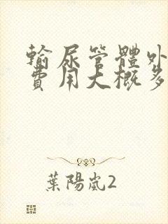 输尿管体外碎石费用大概多少钱