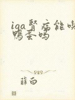 iga肾病能吃鸭蛋吗