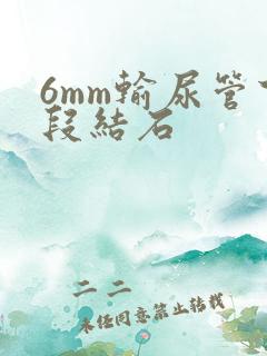 6mm输尿管下段结石
