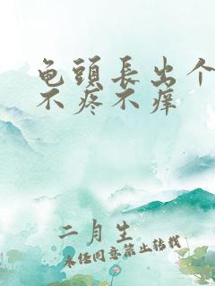 龟头长出个肉粒不疼不痒