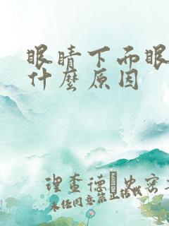 眼睛下面眼袋黑什么原因