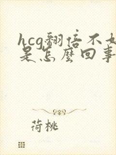 hcg翻倍不好是怎么回事