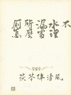 厕所漏水不砸砖怎么处理