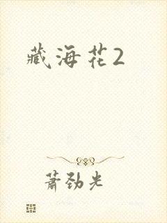 藏海花2