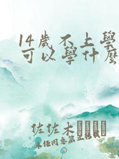 14岁不上学了可以学什么技术