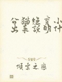 公猫绝育小鸡伸出来说明什么