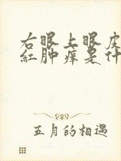 右眼上眼皮反复红肿痒是什么原因