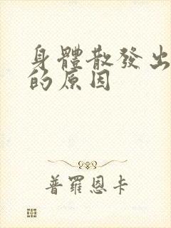 身体散发出屎味的原因