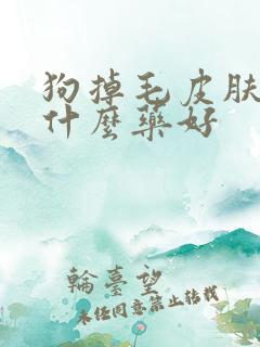 狗掉毛皮肤病用什么药好