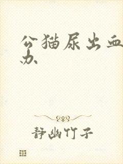 公猫尿出血怎么办