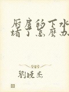 厨房的下水管道堵了怎么办