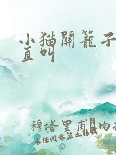 小猫关笼子里一直叫