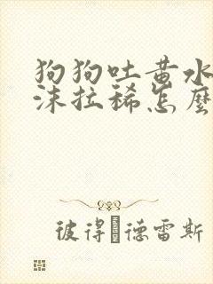 狗狗吐黄水带泡沫拉稀怎么办