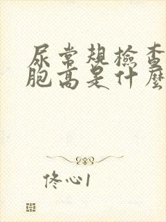 尿常规检查白细胞高是什么原因