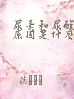 尿素和尿酸高的原因是什么引起的