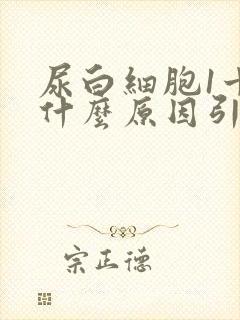 尿白细胞1十是什么原因引起的