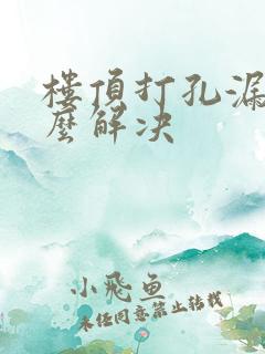 楼顶打孔漏水怎么解决