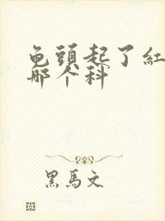 龟头起了红斑看哪个科