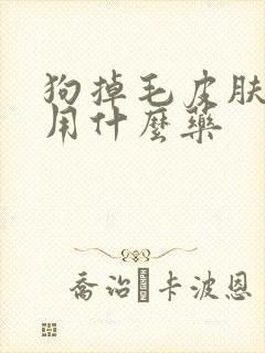 狗掉毛皮肤发红用什么药