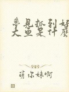 梦见抓到好几条大鱼是什么征兆