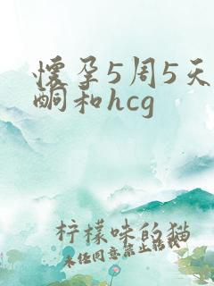 怀孕5周5天孕酮和hcg