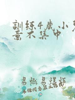 训练4岁小儿注意不集中