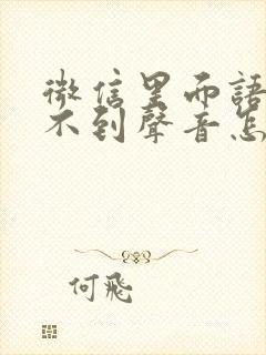 微信里面语音听不到声音怎么办