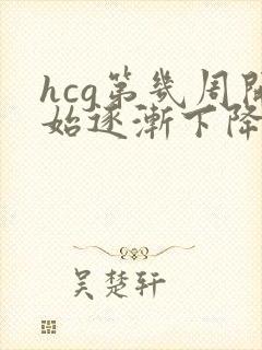 hcg第几周开始逐渐下降