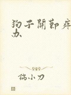 狗子关节疼怎么办