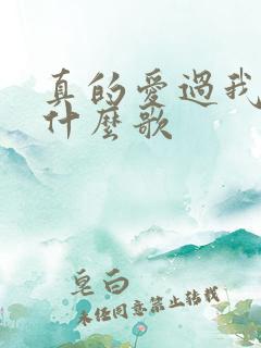 真的爱过我哦是什么歌