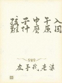 孩子中午入睡困难什么原因