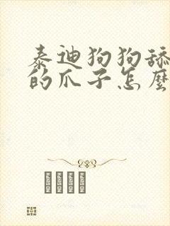 泰迪狗狗舔自己的爪子怎么回事