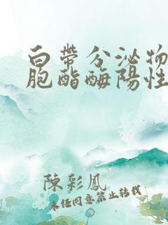 白带分泌物白细胞酯酶阳性