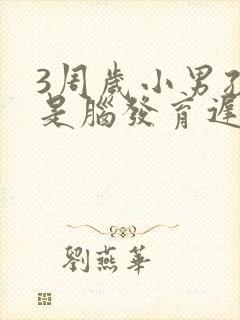 3周岁小男孩总是脑发育迟缓