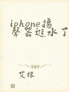 iphone扬声器进水了怎么办