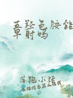 五羟色胺能治疗早射吗