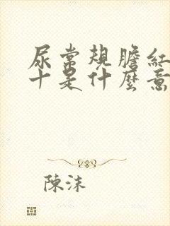 尿常规胆红素1十是什么意思