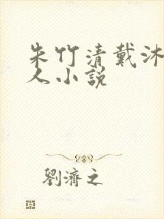 朱竹清戴沐白同人小说