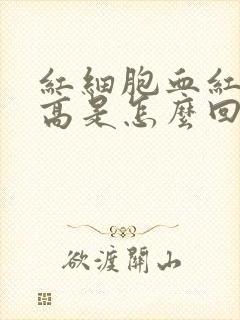 红细胞血红蛋白高是怎么回事