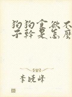 狗狗食欲不振鼻子干是怎么回事