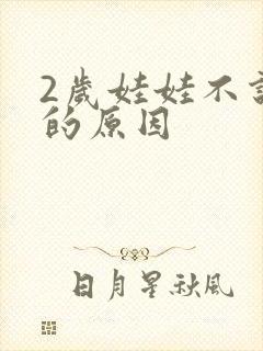 2岁娃娃不说话的原因