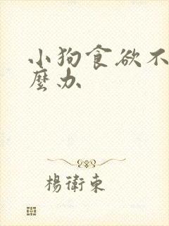 小狗食欲不振怎么办