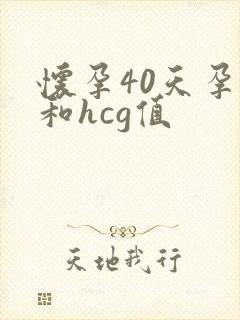 怀孕40天孕酮和hcg值