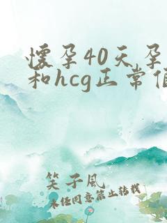 怀孕40天孕酮和hcg正常值参考范围
