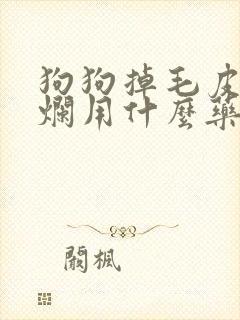 狗狗掉毛皮肤溃烂用什么药