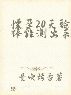 怀孕20天验孕棒能测出来吗