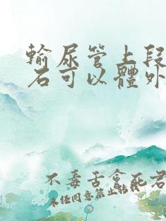 输尿管上段的结石可以体外碎石吗