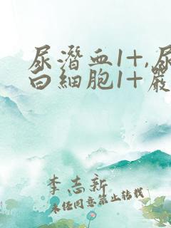 尿潜血1+,尿白细胞1+严重吗