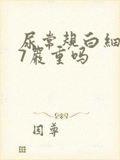 尿常规白细胞57严重吗